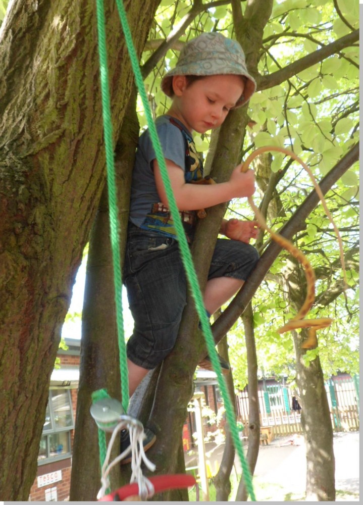 Boy Climbing Tree