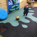 photo alternative text...