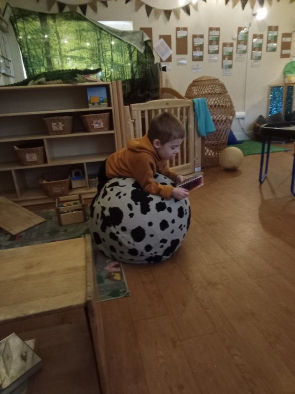 photo alternative text...