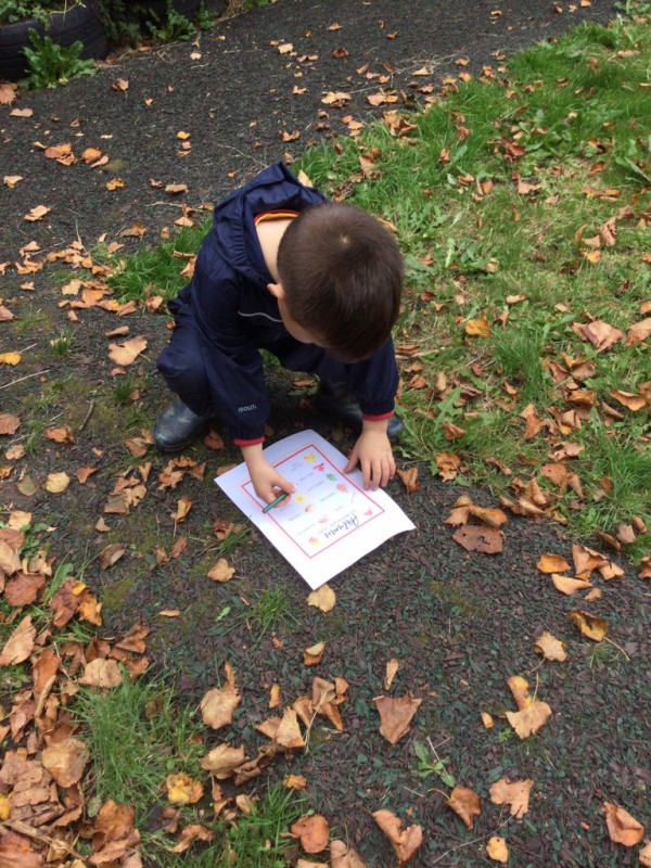 photo alternative text...