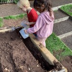 photo alternative text...