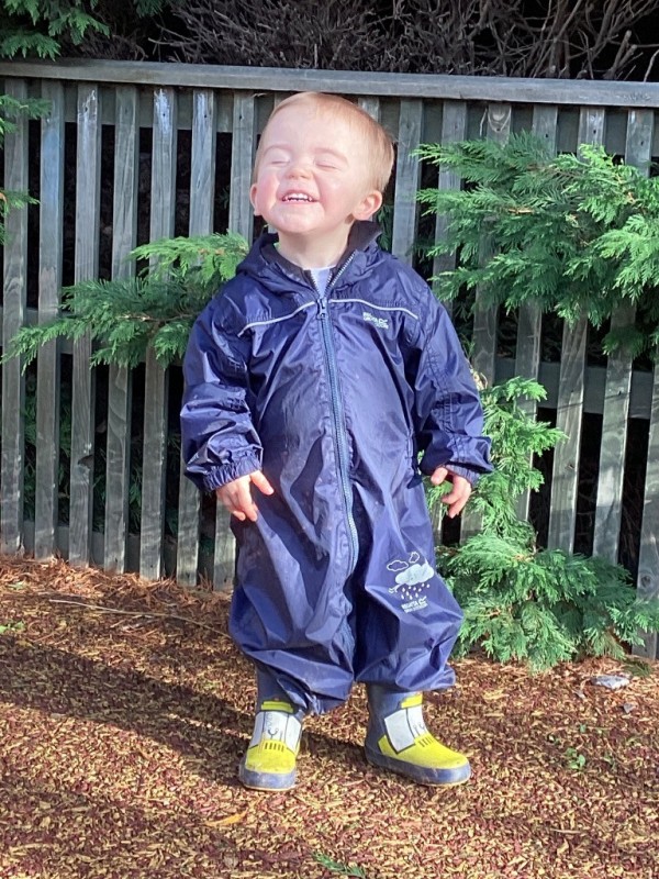 photo alternative text...