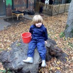 photo alternative text...