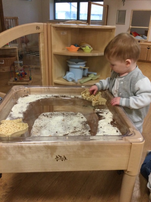 photo alternative text...