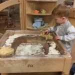 photo alternative text...