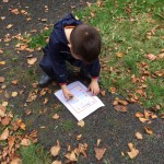 photo alternative text...