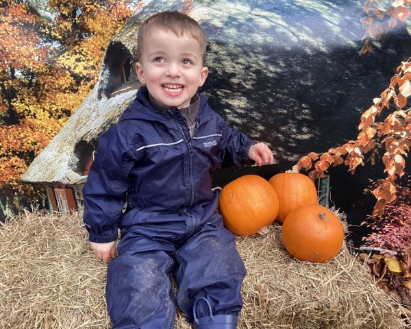 photo alternative text...