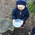 photo alternative text...