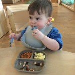 photo alternative text...