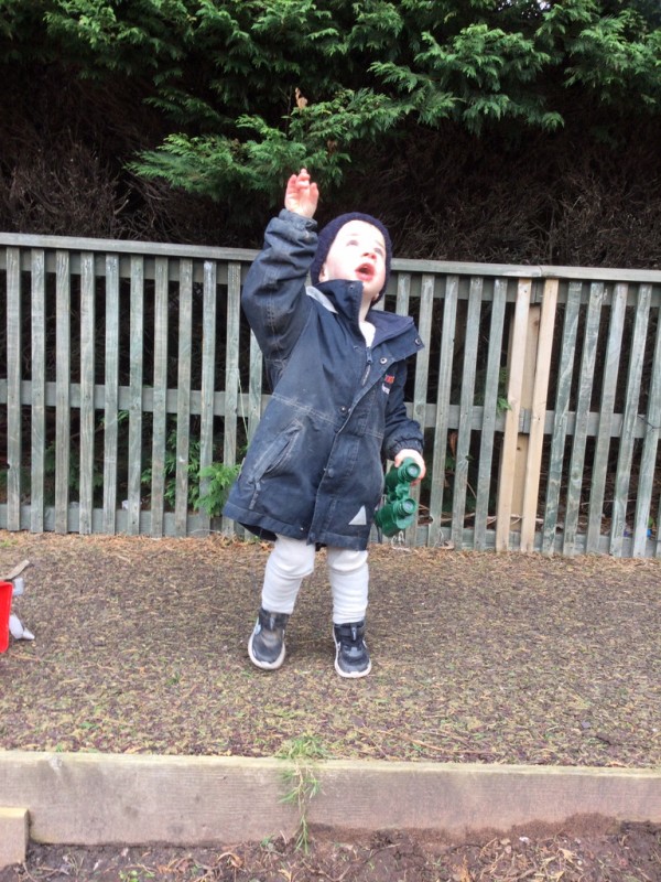 photo alternative text...