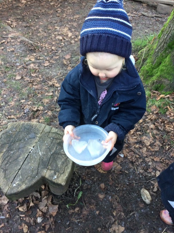 photo alternative text...