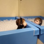 photo alternative text...