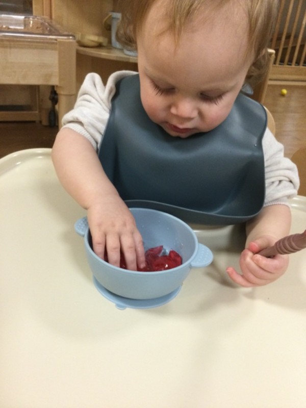 photo alternative text...