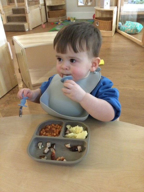 photo alternative text...