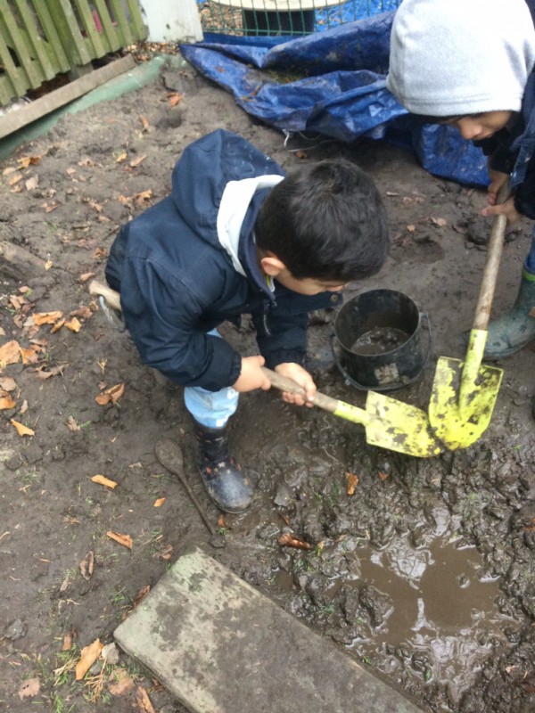 photo alternative text...